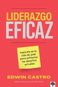 Liderazgo eficaz_cover