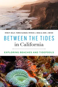 Between the Tides in California_cover