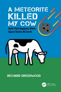 A Meteorite Killed My Cow_cover