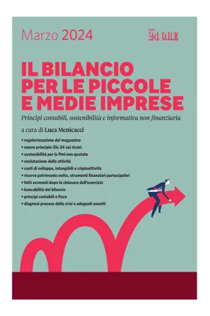 Il bilancio per le piccole e medie imprese