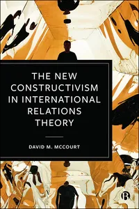 The New Constructivism in International Relations Theory_cover