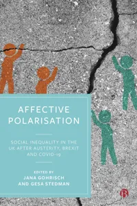 Affective Polarisation_cover