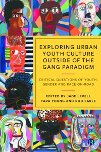 Exploring Urban Youth Culture Outside of the Gang Paradigm_cover