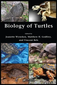 Biology of Turtles_cover