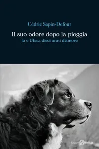 Il suo odore dopo la pioggia_cover