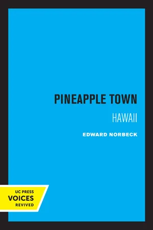 Pineapple Town