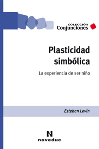 Plasticidad simbólica_cover