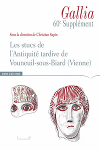 Les stucs de l’antiquité tardive de Vouneuil-sous-Biard_cover