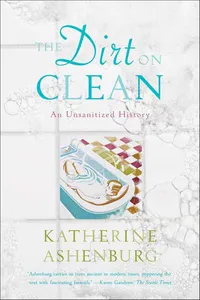 The Dirt on Clean_cover