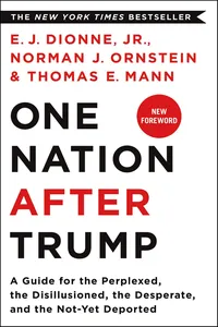 One Nation After Trump_cover