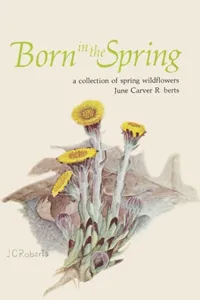 Born in the Spring_cover