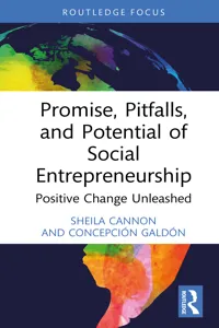Promise, Pitfalls, and Potential of Social Entrepreneurship_cover