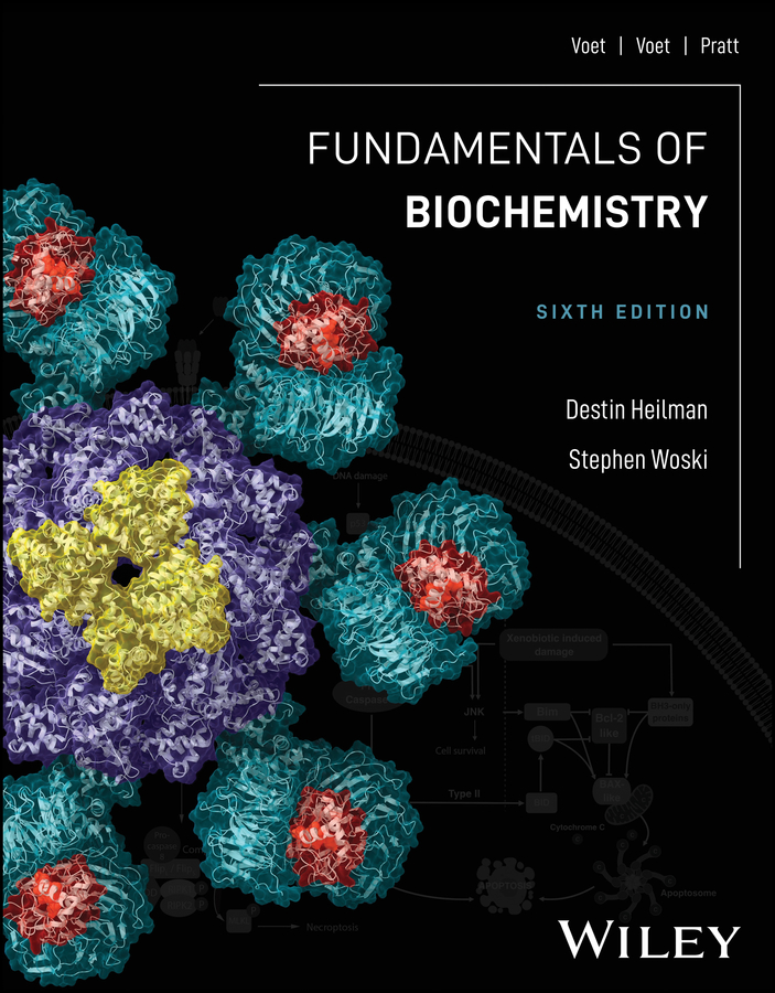 PDF] Fundamentals of Biochemistry by Destin Heilman, 6th edition