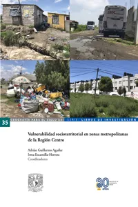 Vulnerabilidad socioterritorial en zonas metropolitanas de la Región Centro_cover