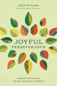 Joyful Perseverance_cover
