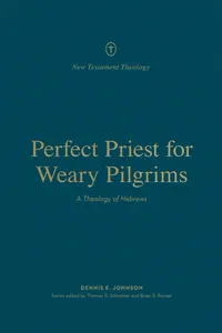 Perfect Priest for Weary Pilgrims_cover