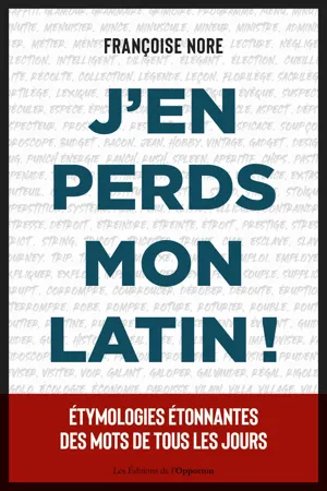 J'en perds mon latin !