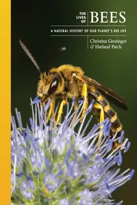 The Lives of Bees_cover