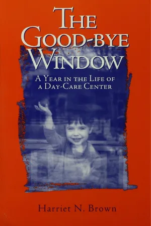 The Good-bye Window