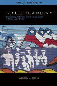 Critical Human Rights_cover