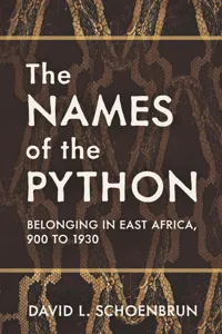 Africa and the Diaspora: History, Politics, Culture_cover