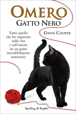 Omero gatto nero