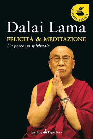 Felicità & meditazione