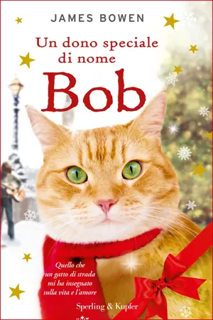 Un dono speciale di nome Bob