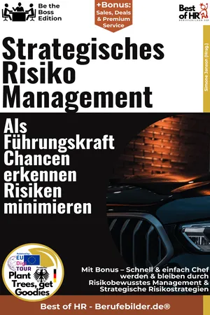 Strategisches Risiko Management – Als Führungskraft Chancen erkennen, Risiken minimieren