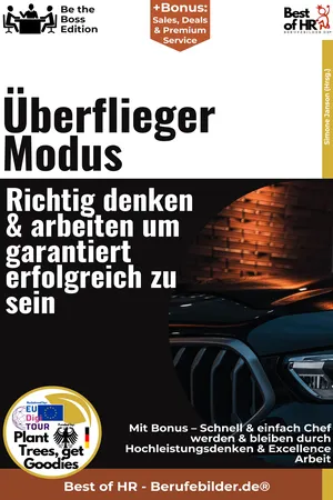 Überflieger-Modus – Richtig denken & arbeiten, um garantiert erfolgreich zu sein