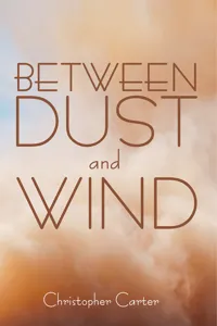 Between Dust and Wind_cover