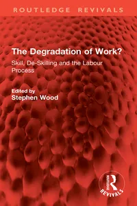 The Degradation of Work?_cover