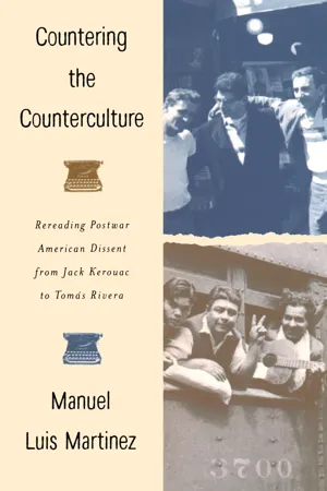 Countering the Counterculture