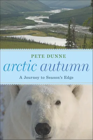 Arctic Autumn