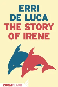 The Story of Irene_cover