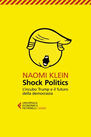 Shock Politics