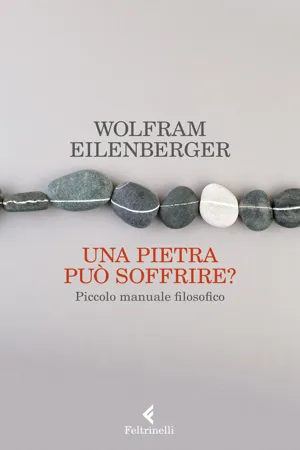 Una pietra può soffrire?