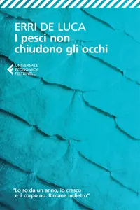 I pesci non chiudono gli occhi_cover