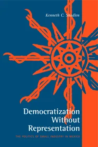 Democratization Without Representation_cover