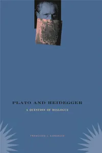 Plato and Heidegger_cover