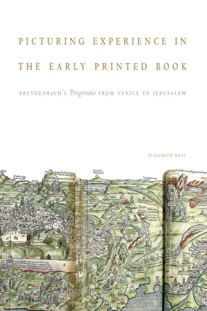 Picturing Experience in the Early Printed Book