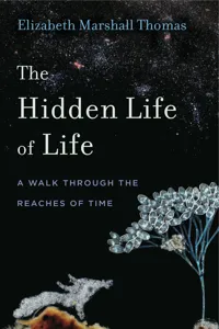 The Hidden Life of Life_cover