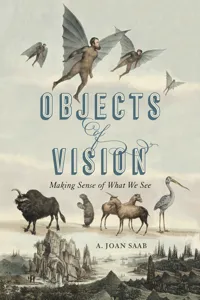 Objects of Vision_cover