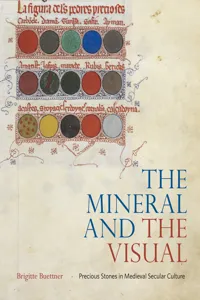 The Mineral and the Visual_cover