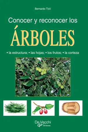 Conocer y reconocer los árboles