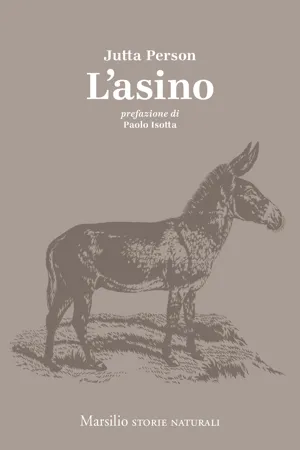 L'asino