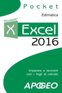 Lavorare con Excel_cover