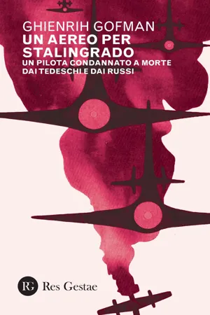 Un aereo per Stalingrado