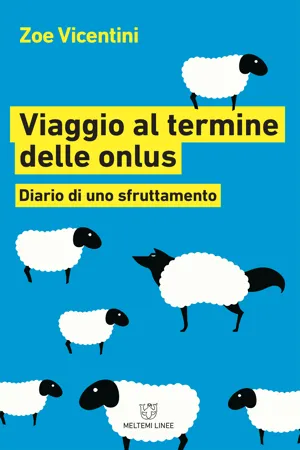 Viaggio al termine delle onlus