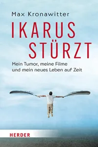 Ikarus stürzt_cover